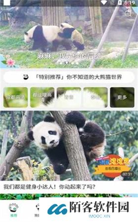 熊猫频道app下载