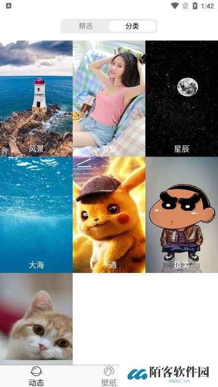 飞花动态壁纸