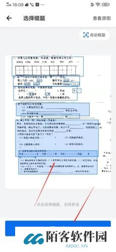 蜜蜂试卷免费版
