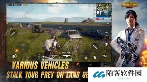 pubg低配版