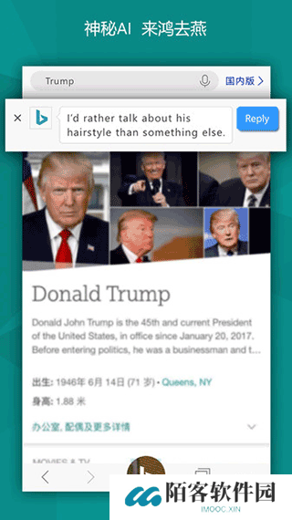 bing