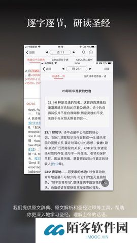 微读圣经