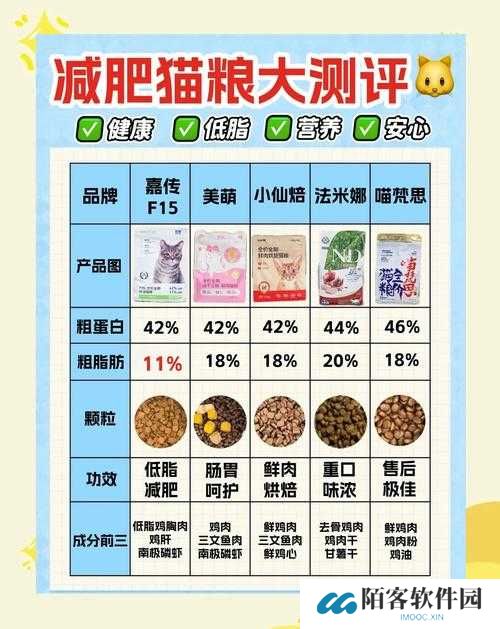 爆肝整理！小森生活猫粮获取全攻略，萌猫粉了！