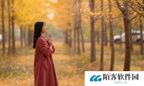 一起草cad免费看网站：生活中的幽默与反思