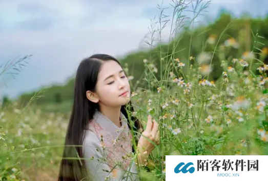共夫1V3苏暖暖的背景故事，网友：这真是一场绝妙的情感博弈！