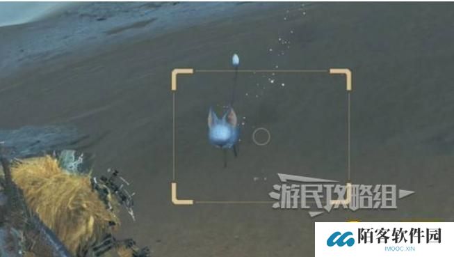怪物猎人荒野沙野流星在哪里怎样捕捉-沙野流星位置捕捉方法