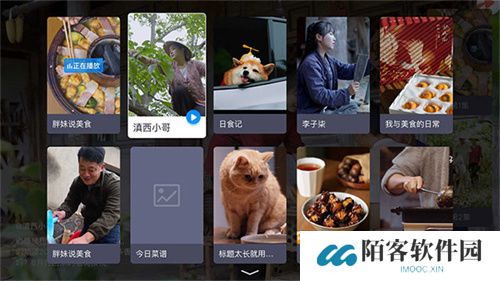 电视家电视版