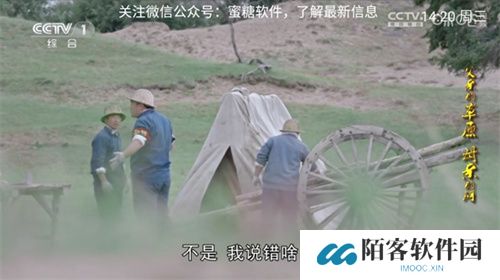 派tv