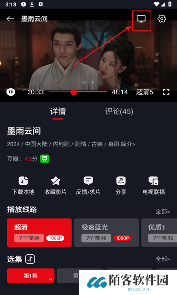网飞猫