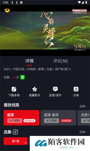 网飞猫