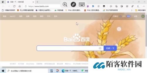 Microsoft远程桌面