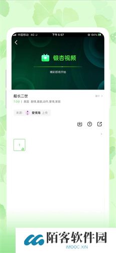 老款银杏视频