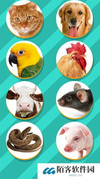 PET Translator