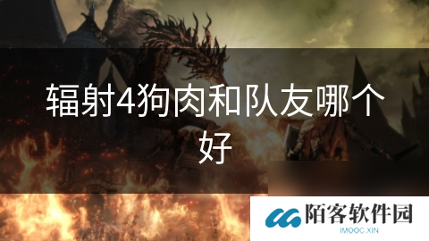 辐射4狗肉和队友哪个好