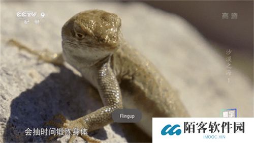 星火电视直播TV