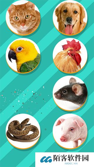 pettranslator动物语言翻译器