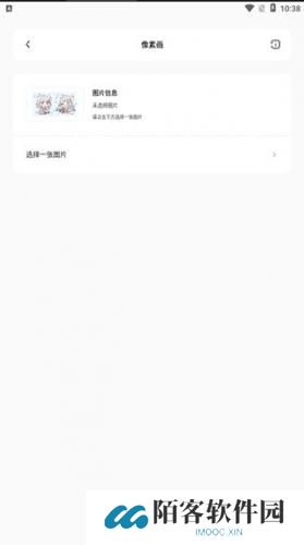 迷你兔子