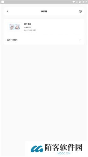 迷你兔子