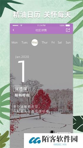 多特瑞