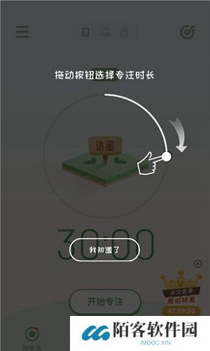 专注崽崽