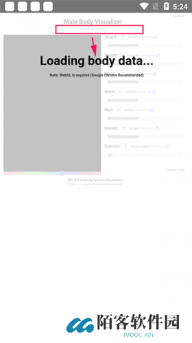 body visualizer