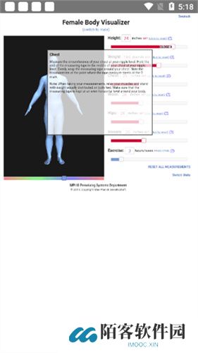 body visualizer