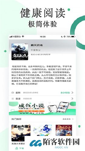 咸鱼无广告小说