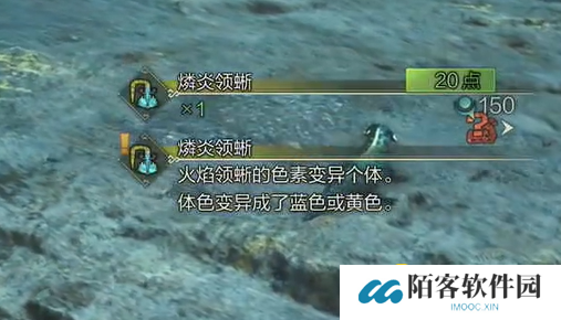 游侠网5