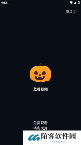 蓝莓视频免费版