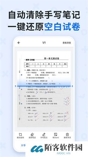 蜜蜂试卷