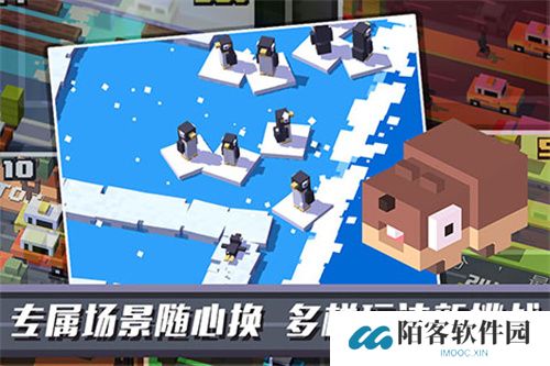 天天过马路