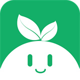 紫树视频
