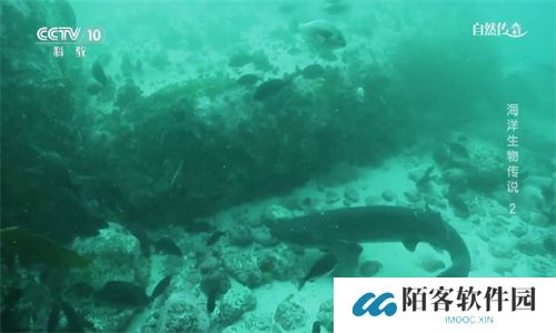 点点TV电视版