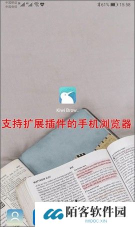 Kiwi浏览器