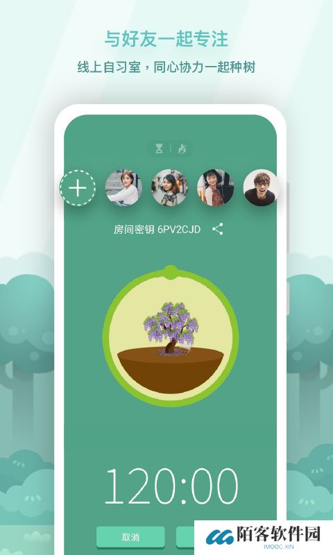 forest森林