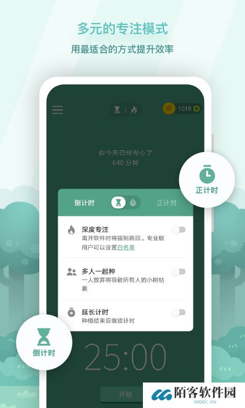 forest森林