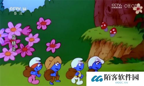 ipv6电视直播