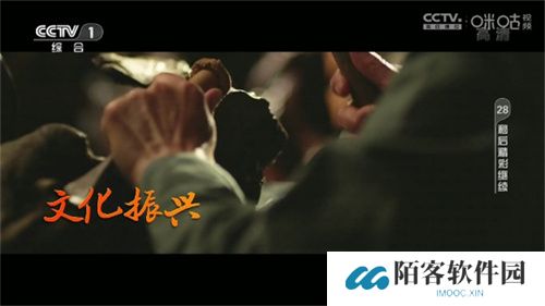 神鸟电视追剧