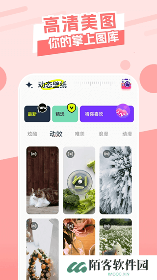 主题库