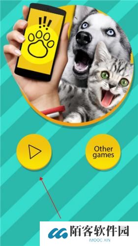 PET Translator